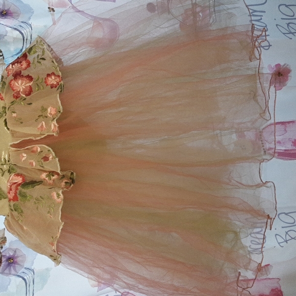 A wish come true floral/tulle dress. Tulle: 3 layers pink, green and sheer. - Picture 4 of 6